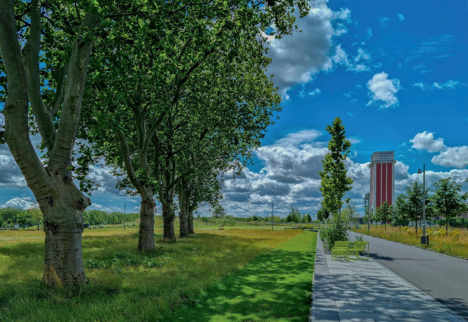 Baumallee mit Weg im Zechenpark, im Hintergrund der Zechenturm