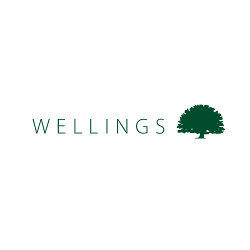 Welling GmbH